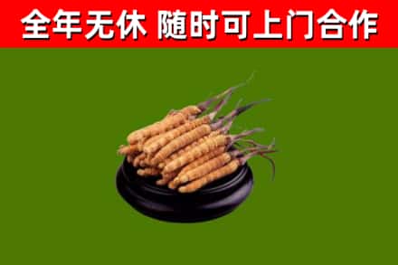 拉孜县烟酒回收冬虫夏草.jpg